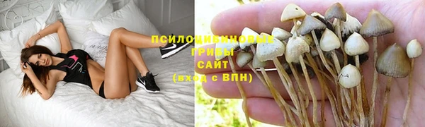 мяу мяу мука Наволоки