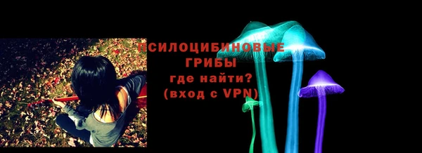 дживик Навашино